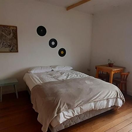 Casa Kila Hostel Valdivia Luaran gambar